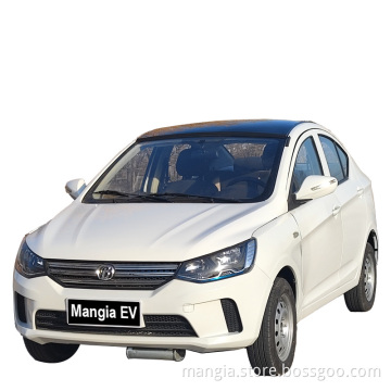 A fully enclosed new car for sale the BLAVAL S8 made in China 2023 new energy car with solar panels 4-wheel electric car